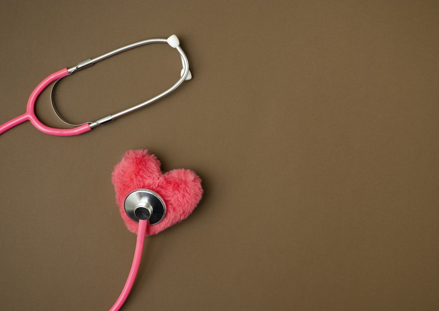 ветеринарный врач производит процедуру чипирования кошки чипирование кошки