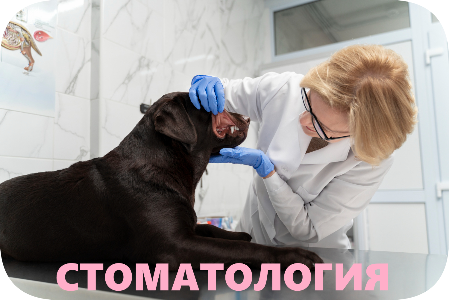 Уникальная услуга