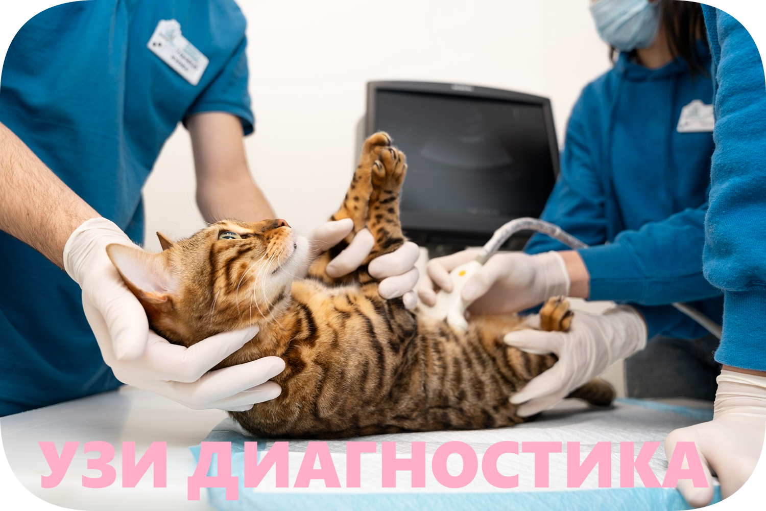 Уникальная услуга