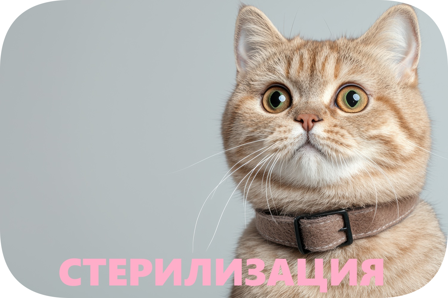 Уникальная услуга