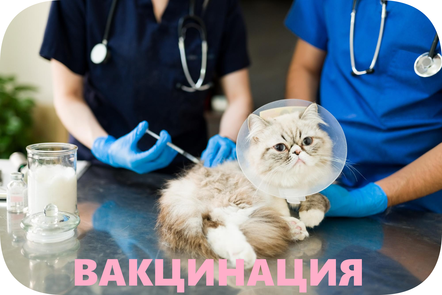 icon - /uploads/s/w/v/q/wvq4mr1rclnh/img/full_Q9nzeFm1.png