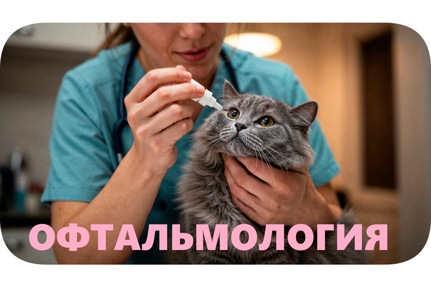 Уникальная услуга