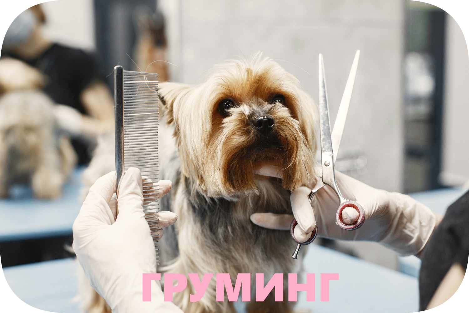 Уникальная услуга