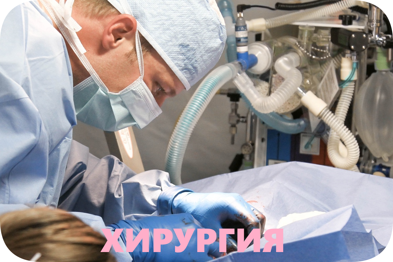 Уникальная услуга